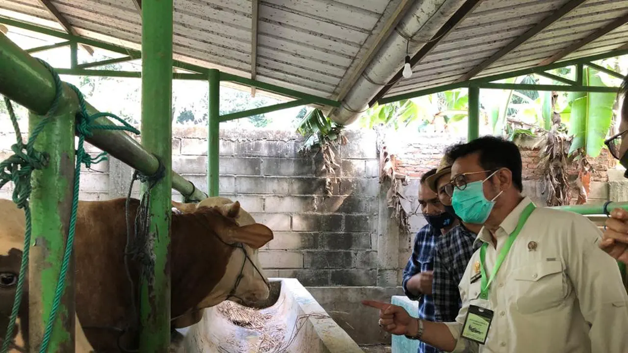 Mentan Pantau Ternak Hewan di Subang Jelang Idul Adha