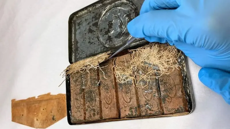 Kotak cokelat tertua di dunia berusia 120 tahun yang ditemukan oleh para konservator di perpustakaan nasional Australia.
