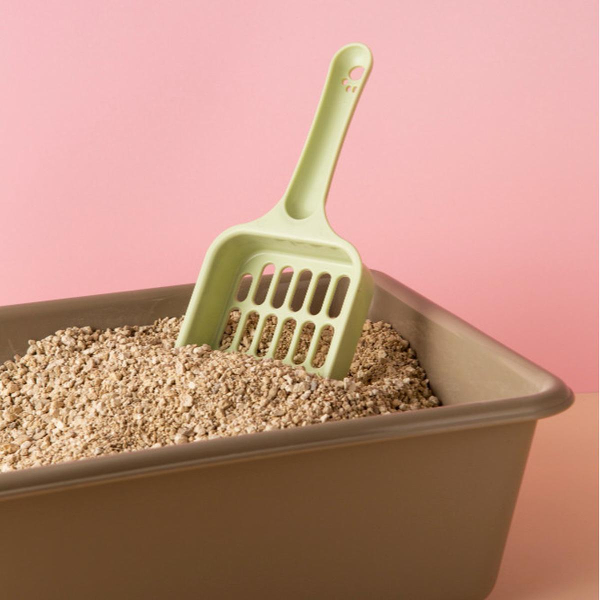 Siapkan Litter Box yang Bersih dan Memadai