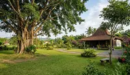 10 Tips Menanam Pohon di Rumah agar Tak Merusak Bangunan, Rumah Aman dan Tetap Asri