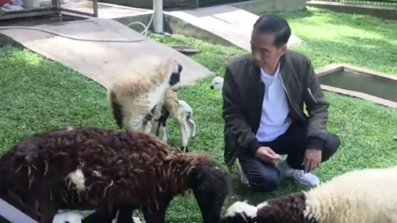 Jokowi