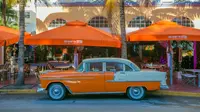 30 Miami Quotes That Capture The Beauty of the Magic City