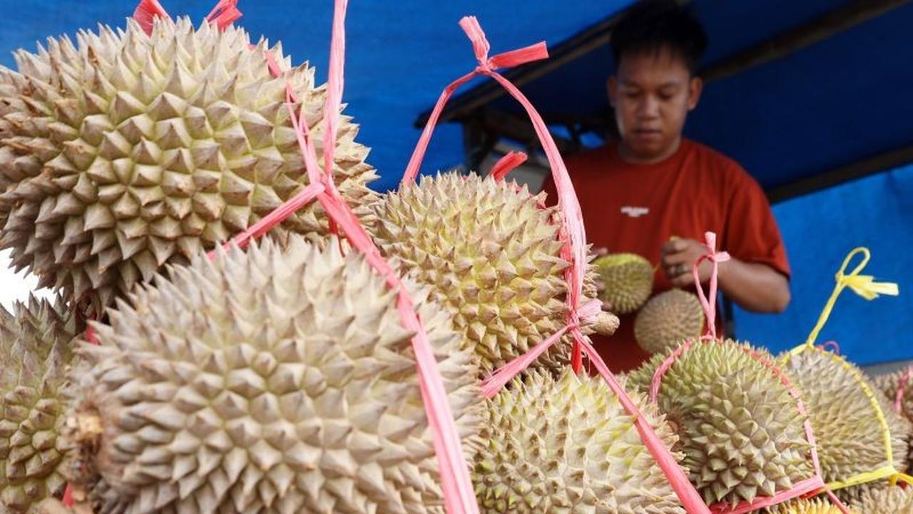 Bea Cukai Batam Perketat Pengawasan, Bagaimana Penyelundupan Durian Ilegal Malaysia 10 Ton Per Hari Terjadi?