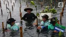 Penanaman 1.000 pohon mangrove juga bertujuan membangun green economy sesuai visi pemerintah serta memperingati hari pohon se-dunia. (Liputan6.com/Angga Yuniar)