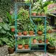 Ilustrasi Gantungan Pot Tanaman Hias. Foto: AI Generated