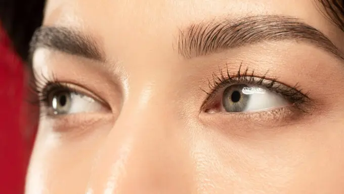 Kecantikan bulu mata