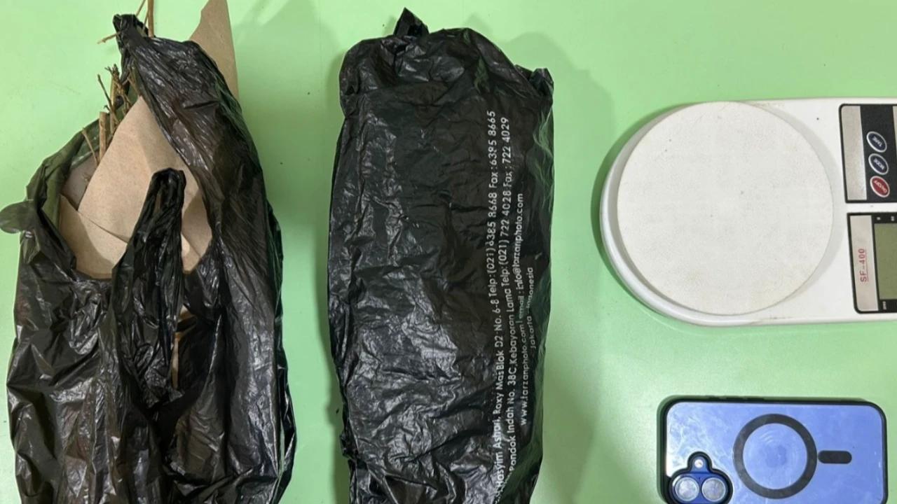 150 Gram Ganja Disita, Polisi Ringkus Satu Pelaku di Jakarta Barat