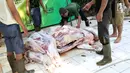 Petugas mengolah daging hewan kurban yang sudah dipotong di Masjid Sunda Kelapa, Jakarta, Jumat (1/9). Daging tersebut akan dibawgikan kepada yayasan dan warga. (Liputan6.com/Immanuel Antonius)