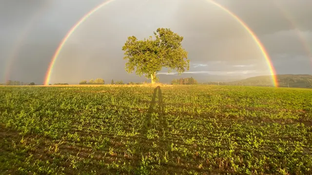 Rainbow