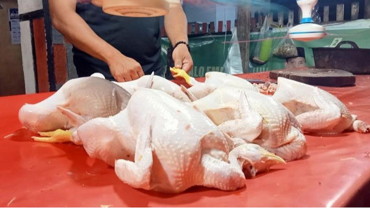 Cara Efektif Merebus Ayam Potong Bebas Kolesterol Agar Lemaknya Berkurang
