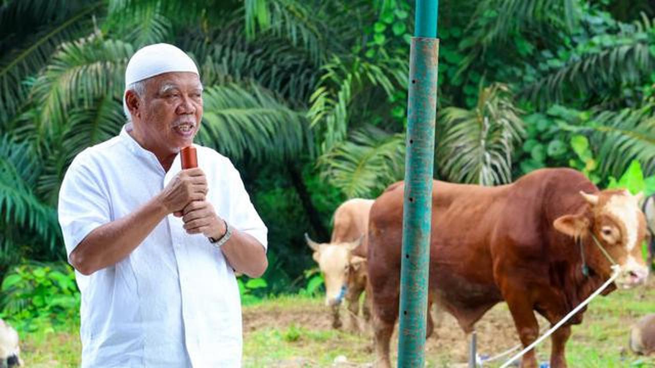 Prabowo dan Gibran Salurkan Sapi Kurban ke IKN, Total Hampir 3 Ton