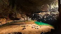 Top 3: Temuan Gua 'Dinosaurus' Terbesar Sedunia