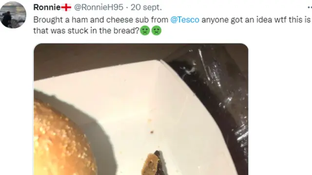 Pria menemukan kotoran kucing di sandwich