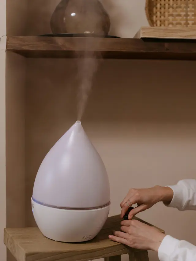 4. Gunakan Humidifier atau Pelembap Udara