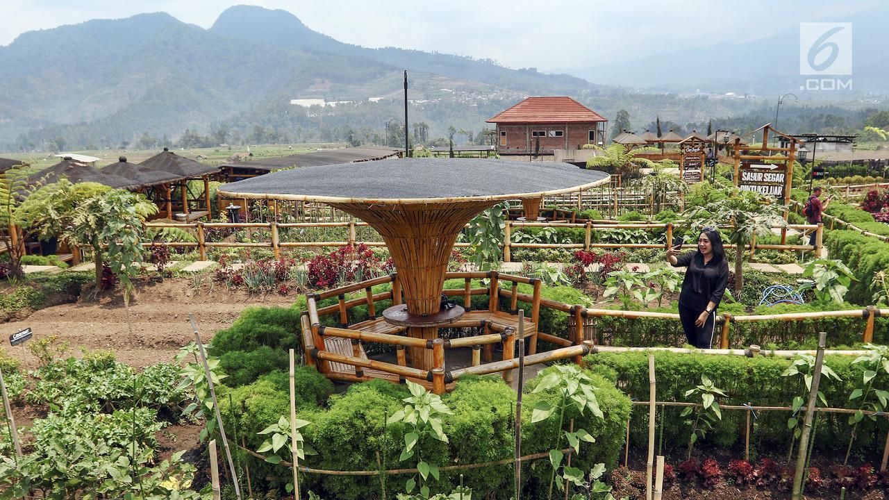 OJK Dorong Optimalisasi Peran Badan Usaha Milik Desa