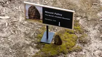 Viral Gunung Tingginya 7 Cm, Ini Misteri Mount Paltry yang Bikin Heboh Dunia