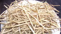 Cara Mengatasi Demam dengan Akar Alang-Alang, Ramuan Tradisional yang Telah Teruji