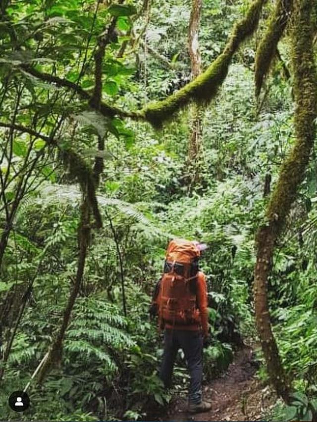 Belajar Mengelola Pendakian Nol Sampah dari Gunung Kembang Wonosobo
