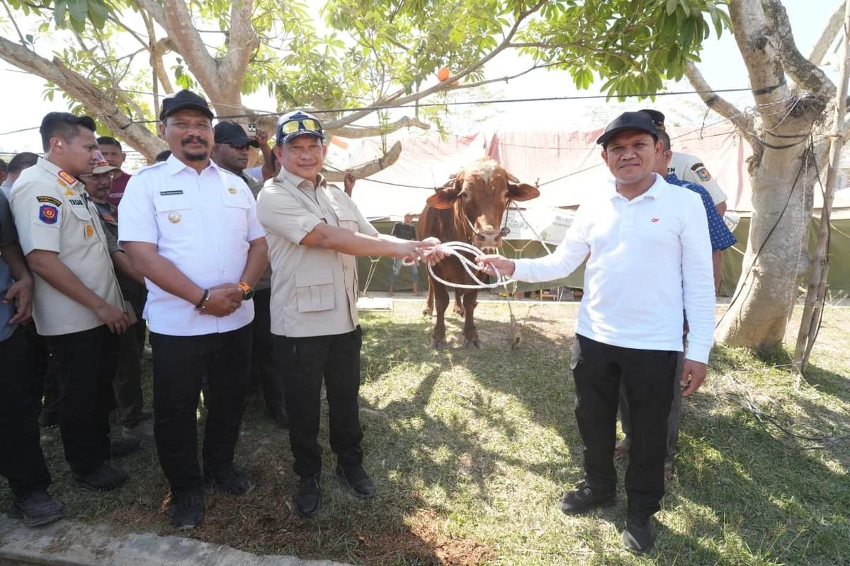 Kasatgas Tito Serahkan Bantuan Sapi Presiden Prabowo kepada Masyarakat Aceh