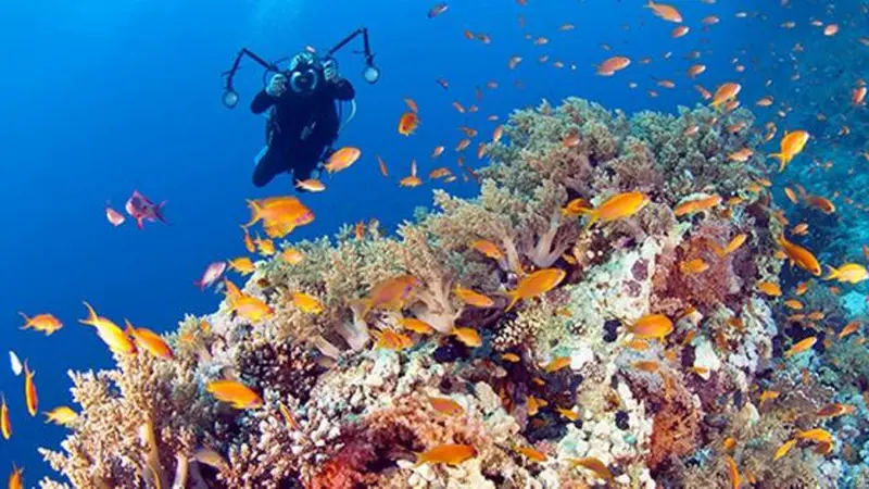 Wakatobi Targetkan 40.000 Kunjungan Wisata tahun 2017