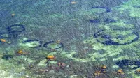 Misteri `Lingkaran Peri` di Laut Baltik Terkuak, Pendaratan UFO?