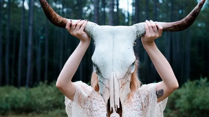 copyright by Pexels.com