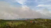 Kasus ISPA Capai 400 Ribu per Minggu, Kebakaran Hutan Ikut Dorong Kenaikan