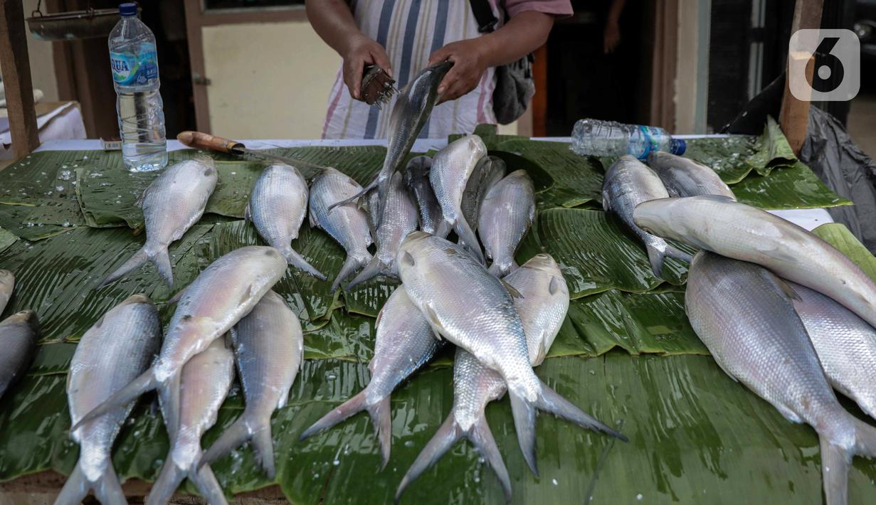 Pedagang membersihkan ikan bandeng yang dia jual di kawasan Rawa Belong, Jakarta, Selasa (21/1/2020). Bandeng yang biasanya menjadi hidangan khas saat Tahun Baru Imlek tersebut mulai ramai diperdagangkan di Rawa Belong. (Liputan.com/Faizal Fanani)