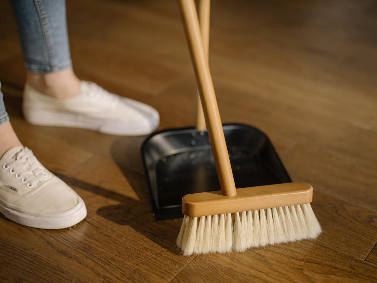 5 Cara Ampuh Mengusir Kucing Liar agar Tak Kembali ke Rumah