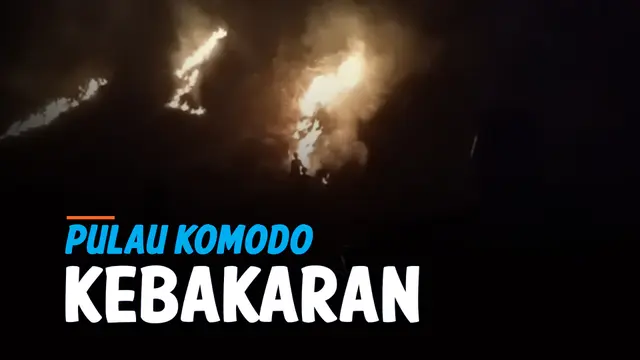 VIDEO: Pulau Komodo Kebakaran, 10 Hektar Lahan Hutan Hangus