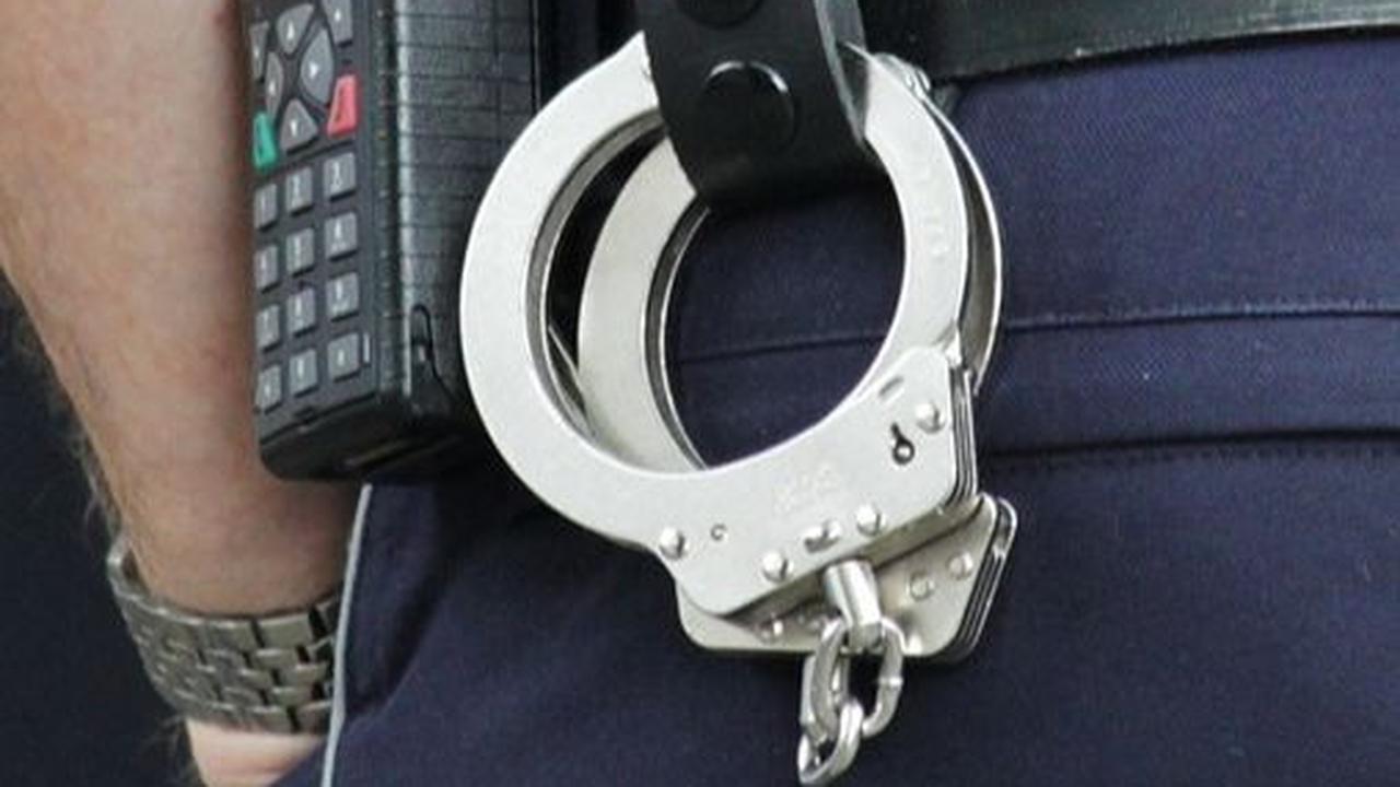 Merantau hingga Luar Negeri, Dua Pria Berdarah Batak Ini Jadi Polisi di Amerika Serikat