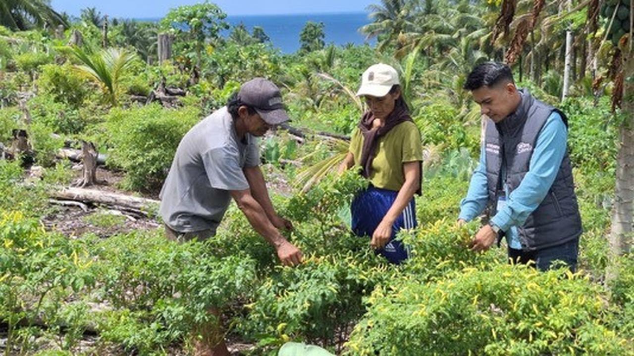 Di Ujung Utara Indonesia, Mantri BRI Menjaga Asa UMKM