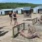 Pengunjung melihat penjara khusus tawanan (Tiger Cage) di lokasi bekas penjara Phu Quoc, Vietnam, Senin (10/4). Penjara Phu Quoc adalah peninggalan sejarah selama Perang Vietnam. (AFP PHOTO / HOANG DINH NAM)