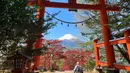 Seorang pria berjalan di bawah tori di kuil Arakura Fuji Sengen saat Gunung Fuji terlihat dari kota Fujiyoshida, prefektur Yamanashi, Jepang, pada Kamis (22/4/2021). Gunung Fuji merupakan gunung tertinggi di Jepang dengan tinggi sekitar 3.776 meter dari atas permukaan laut. (Behrouz MEHRI / AFP)