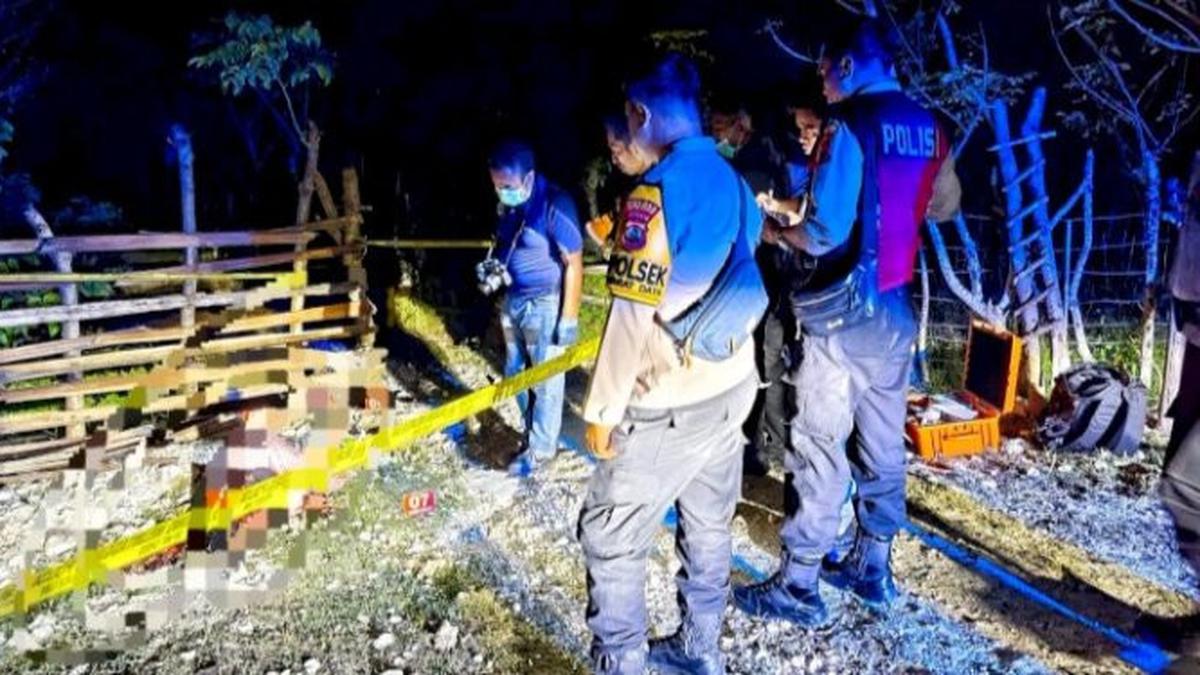 Pemilik Domba di NTT Diamankan Polisi Usai Bunuh Pencuri