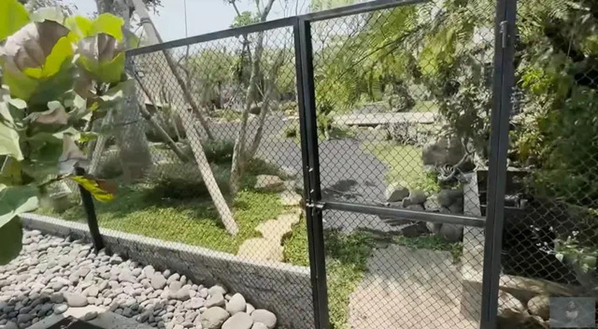 Model Kolam di Taman Rumah Soimah yang Luas Banget, Asri dengan Detail Artistik