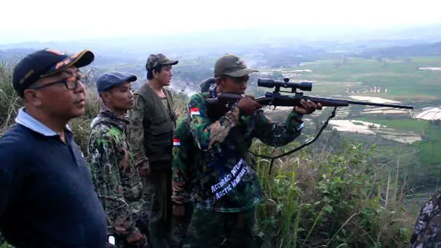 Serangan babi hutan