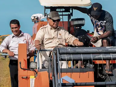 Foto yang diambil dan dirilis pada tanggal 3 November 2024 oleh Istana Kepresidenan Indonesia ini menunjukkan Presiden Indonesia Prabowo Subianto (tengah) sedang mengoperasikan mesin pemanen modern atau combine harvester di sebuah ladang yang digarap sebagai bagian dari skema nasional untuk mencapai swasembada pangan, dalam kunjungannya ke desa Telaga Sari, Merauke, Provinsi Papua Selatan. (Foto: Handout/ISTANA KEPRESIDENAN RI/AFP)