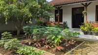 7 Tanaman yang Sebaiknya Dijauhkan dari Pohon Buah, Diam-diam Curi Nutrisi