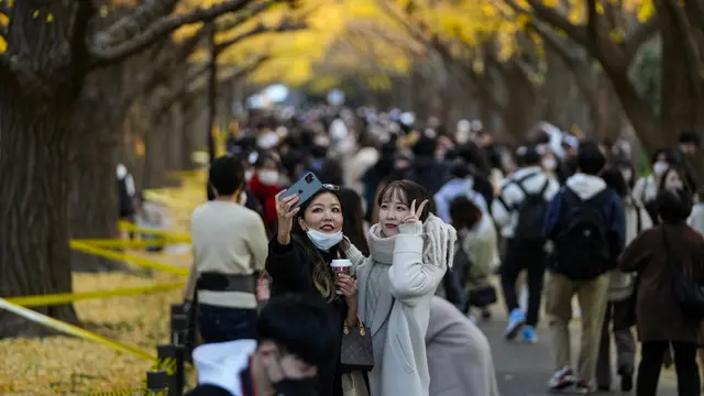 Serunya Warga Tokyo Menikmati Keindahan Pohon Ginkgo