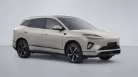 BYD Daftarkan SUV Sealion 06 di China, Ada Versi PHEV dan BEV