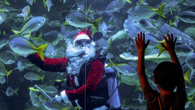 FOTO: Sambut Natal, Sinterklas Beri Makan Ikan di Aquaria KLCC Malaysia