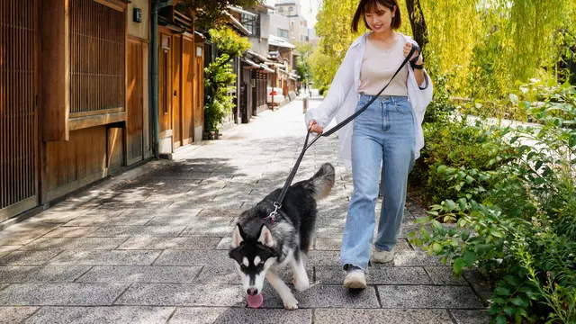 Walking a Dog