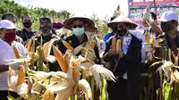 Pandemi COVID-19, Mentan Yasin Limpo: Petani juga Pahlawan Kita