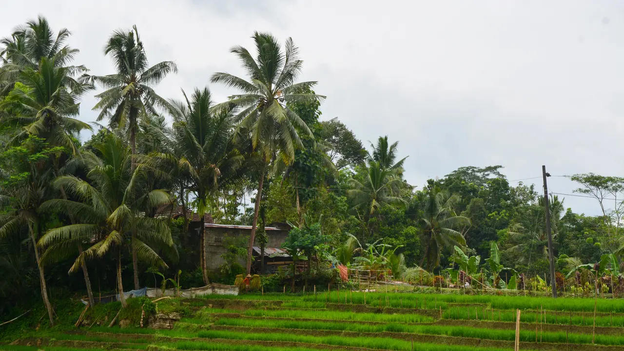Desa Wisata