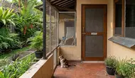 8 Cara Mengusir Kucing dari Kebun Tanpa Menyakiti, Tetap Efektif dan Humanis