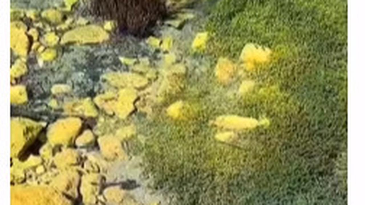 Danau di Selandia Baru Ini Jernih Banget Bak Kaca Transparan, Peneliti Ungkap Faktor Penyebabnya yang Tak Terduga