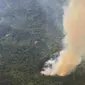 Potret kebakaran hutan di Riau (Liputan6.com / M.Syukur)