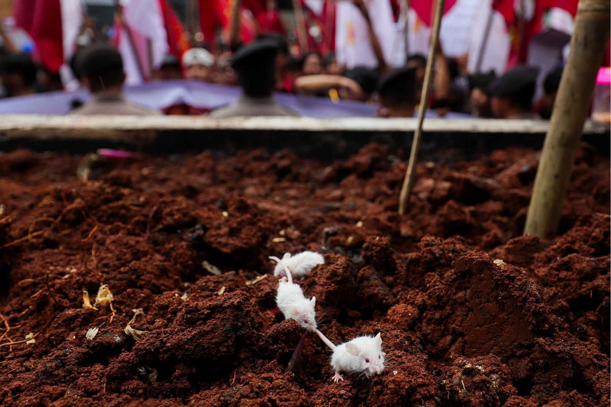 Mahasiswa berunjuk rasa tuntut penangkapan Harun Masiku