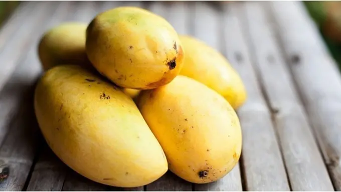 Foto: copyright thinkstockphotos.com